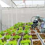Robotics in Agriculture