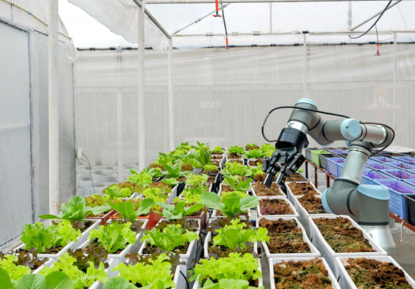 Robotics in Agriculture