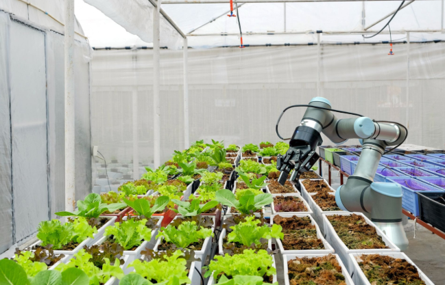 Robotics in Agriculture