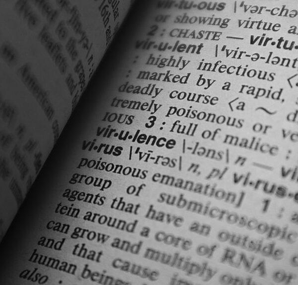 the ultimate guide decoded